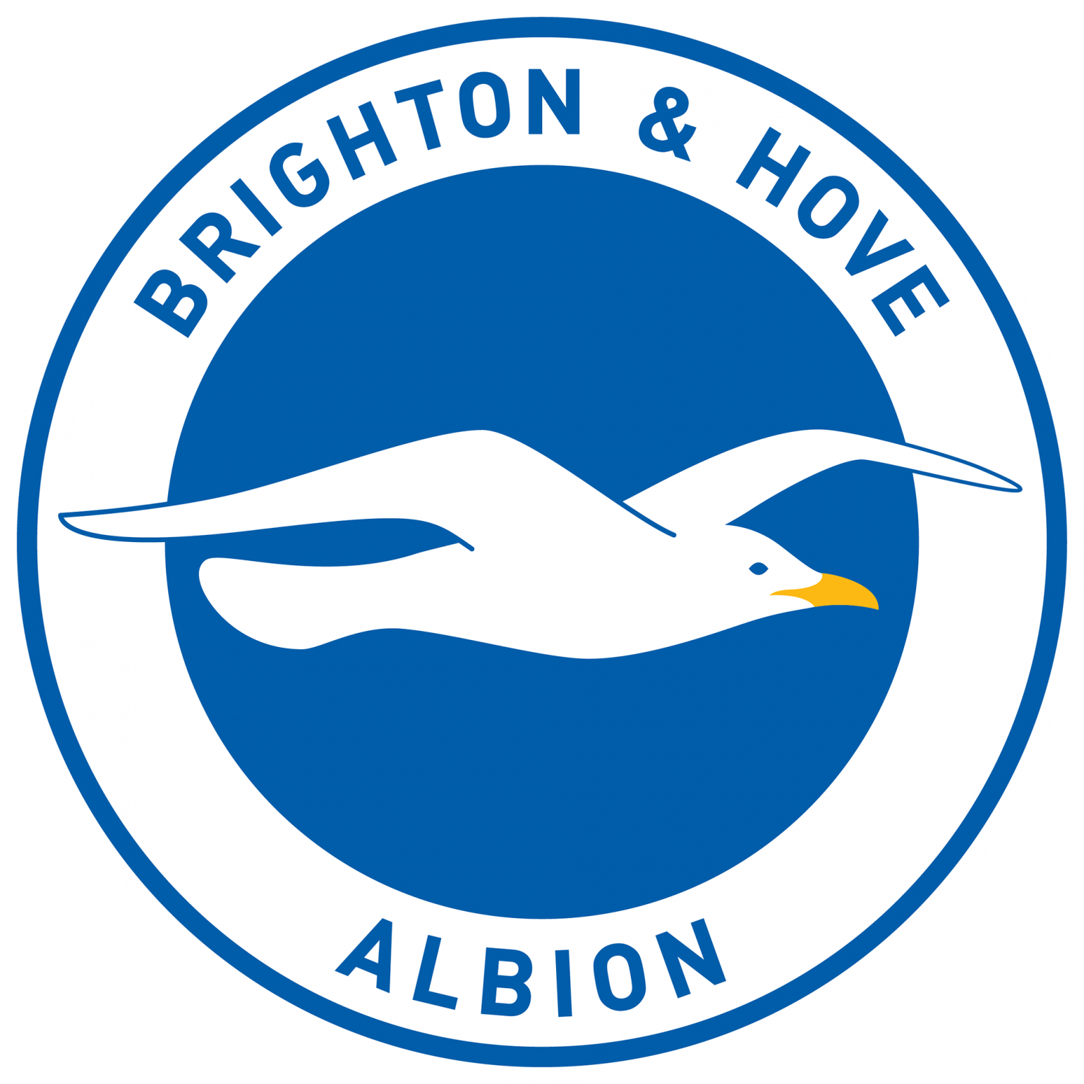 Brighton Hove Albion FC